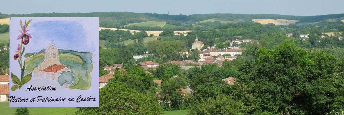 Verger du « Vieux-Castéra »